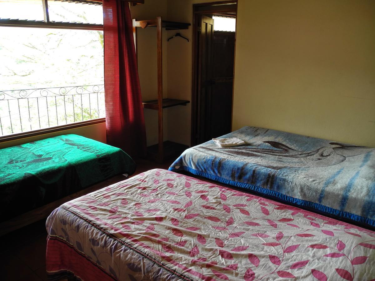 Sleepers Sleep Cheaper Hostel Monteverde 外观 照片